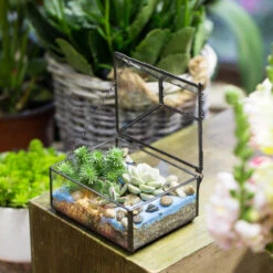 Handmade Small Jewelry Box Geometric Glass Terrarium With Cover For Airplants Succulents Moss Ring -Glass Plant Store product image 587489742