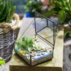 Handmade Small Jewelry Box Geometric Glass Terrarium With Cover For Airplants Succulents Moss Ring -Glass Plant Store product image 587489743