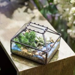 Handmade Small Jewelry Box Geometric Glass Terrarium With Cover For Airplants Succulents Moss Ring -Glass Plant Store product image 587489744