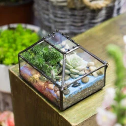 Handmade Small Jewelry Box Geometric Glass Terrarium With Cover For Airplants Succulents Moss Ring -Glass Plant Store product image 587489757