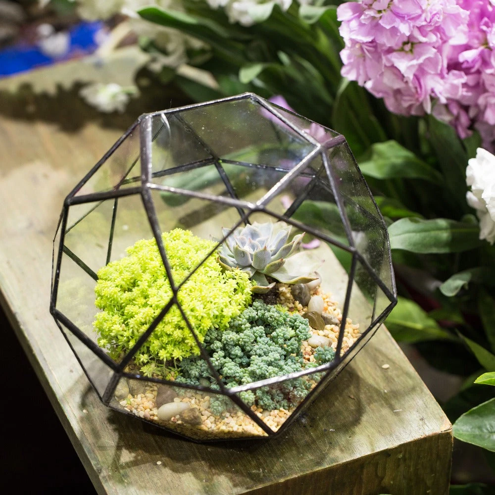 Handmade Triangular Pentagon Mix 32-Sides Clear Glass Geometric Centerpiece Terrarium For Succulents 2 Handmade Triangular Pentagon Mix 32-Sides Clear Glass Geometric Centerpiece Terrarium For Succulents - Image 2