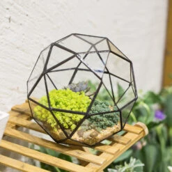 Handmade Triangular Pentagon Mix 32-Sides Clear Glass Geometric Centerpiece Terrarium For Succulents 16 Handmade Triangular Pentagon Mix 32-Sides Clear Glass Geometric Centerpiece Terrarium For Succulents -Glass Plant Store product image 594319588
