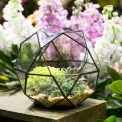 Handmade Triangular Pentagon Mix 32-Sides Clear Glass Geometric Centerpiece Terrarium For Succulents 18 Handmade Triangular Pentagon Mix 32-Sides Clear Glass Geometric Centerpiece Terrarium For Succulents -Glass Plant Store product image 594319591