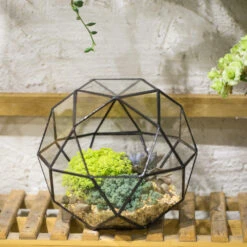 Handmade Triangular Pentagon Mix 32-Sides Clear Glass Geometric Centerpiece Terrarium For Succulents 14 Handmade Triangular Pentagon Mix 32-Sides Clear Glass Geometric Centerpiece Terrarium For Succulents -Glass Plant Store product image 594319615