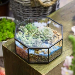 Handmade Regular Octagon Glass Geometric Terrarium For Succulent Decoration 12 Handmade Regular Octagon Glass Geometric Terrarium For Succulent Decoration -Glass Plant Store product image 606070218