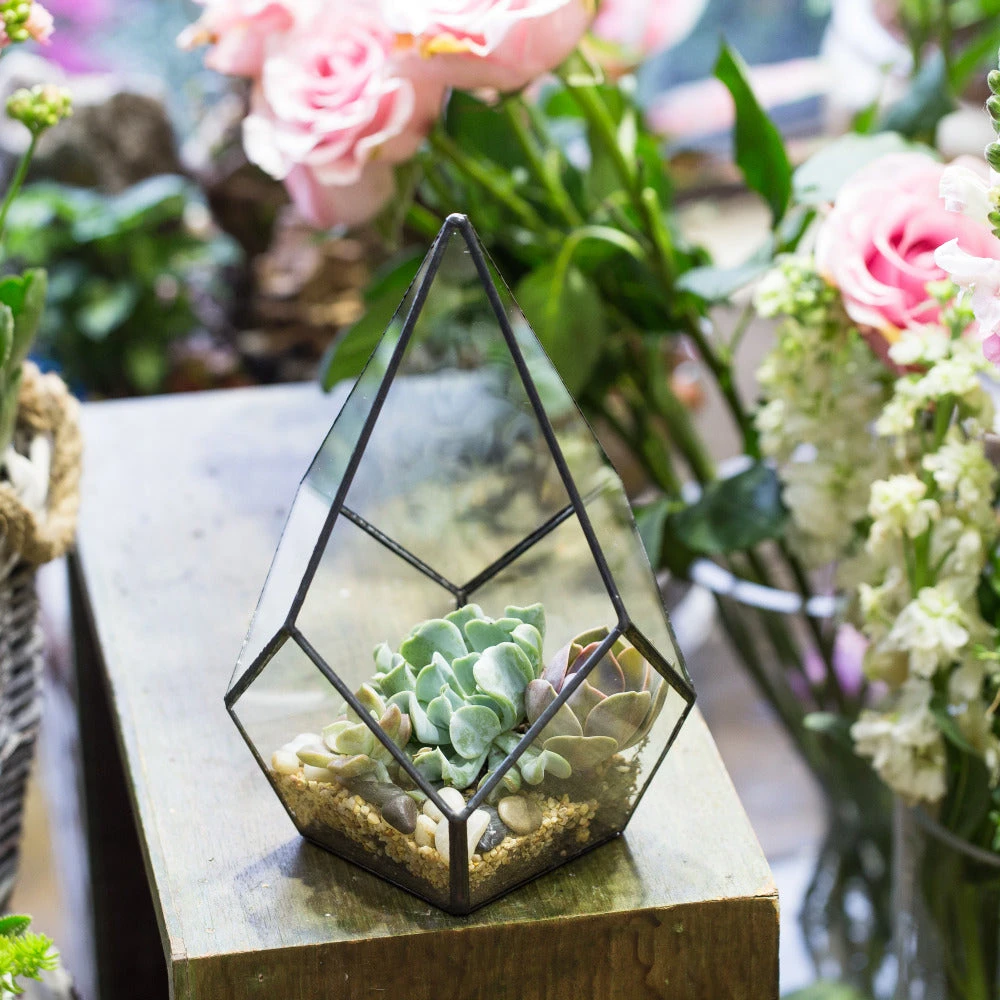 Handmade Black Artistic Four-surfaces Glass Geometric Terrarium For Succulents Airplants Moss 6 Handmade Black Artistic Four-surfaces Glass Geometric Terrarium For Succulents Airplants Moss - Image 6