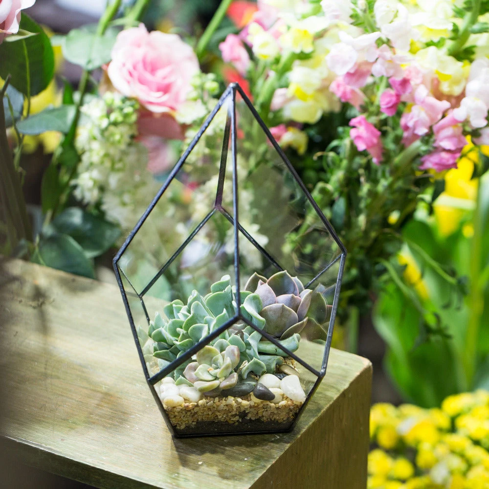 Handmade Black Artistic Four-surfaces Glass Geometric Terrarium For Succulents Airplants Moss 5 Handmade Black Artistic Four-surfaces Glass Geometric Terrarium For Succulents Airplants Moss - Image 5