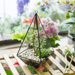 Handmade Glass Geometric Terrarium Indoor Outdoor Planter Landscape Wall Pyramid For Succulents -Glass Plant Store product image 681089938