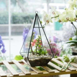 Handmade Glass Geometric Terrarium Indoor Outdoor Planter Landscape Wall Pyramid For Succulents -Glass Plant Store product image 681089942