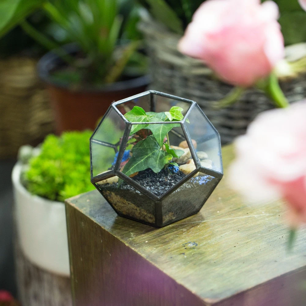 Handmade Mini Black Pentagon Glass Geometric Terrarium For Ring Box Moss 2 Handmade Mini Black Pentagon Glass Geometric Terrarium For Ring Box Moss - Image 2