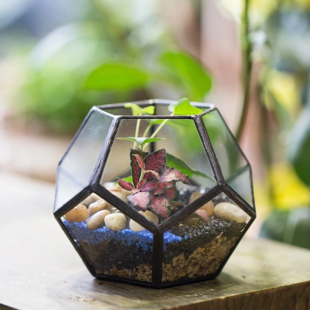 Handmade Mini Black Pentagon Glass Geometric Terrarium For Ring Box Moss 9 Handmade Mini Black Pentagon Glass Geometric Terrarium For Ring Box Moss - Image 9