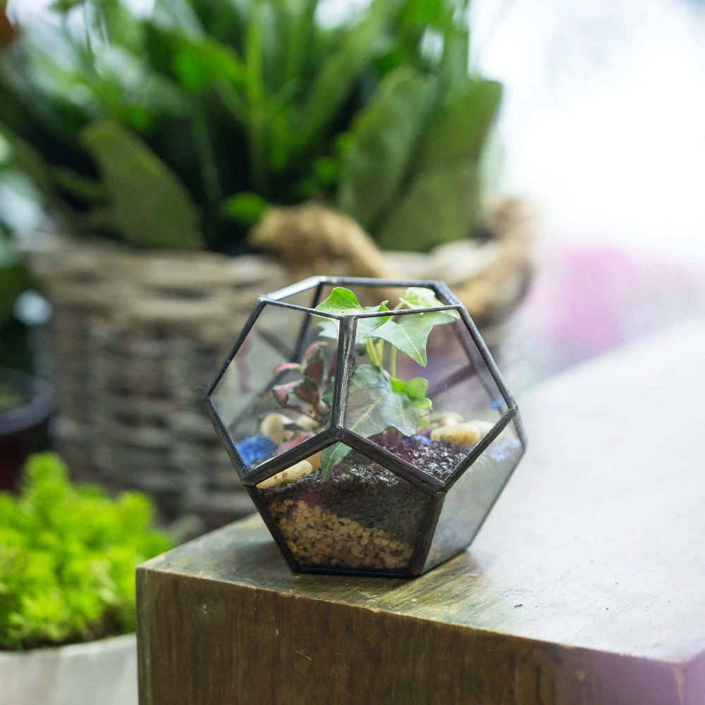 Handmade Mini Black Pentagon Glass Geometric Terrarium For Ring Box Moss 11 Handmade Mini Black Pentagon Glass Geometric Terrarium For Ring Box Moss - Image 11