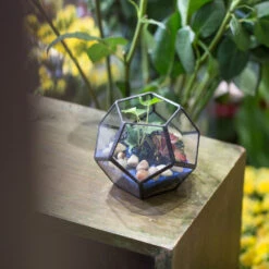 Handmade Mini Black Pentagon Glass Geometric Terrarium For Ring Box Moss 20 Handmade Mini Black Pentagon Glass Geometric Terrarium For Ring Box Moss -Glass Plant Store product image 693688933