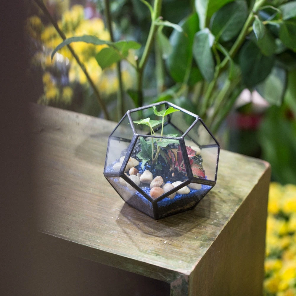 Handmade Mini Black Pentagon Glass Geometric Terrarium For Ring Box Moss 10 Handmade Mini Black Pentagon Glass Geometric Terrarium For Ring Box Moss - Image 10