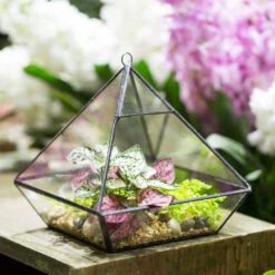 Handmade Black Vertebral Hanging Geometric Glass Terrarium For Succulent Fern Moss -Glass Plant Store product image 715714506