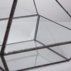 Handmade Black Vertebral Hanging Geometric Glass Terrarium For Succulent Fern Moss -Glass Plant Store product image 715714510