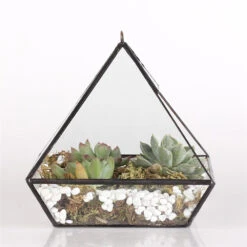 Handmade Black Vertebral Hanging Geometric Glass Terrarium For Succulent Fern Moss -Glass Plant Store product image 715714511
