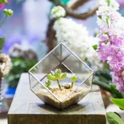 Handmade 3.93" / 10cm Silver Square Inclined Cube Glass Geometric Terrarium For Succulent Airplants 18 Handmade 3.93" / 10cm Silver Square Inclined Cube Glass Geometric Terrarium For Succulent Airplants -Glass Plant Store product image 729012700