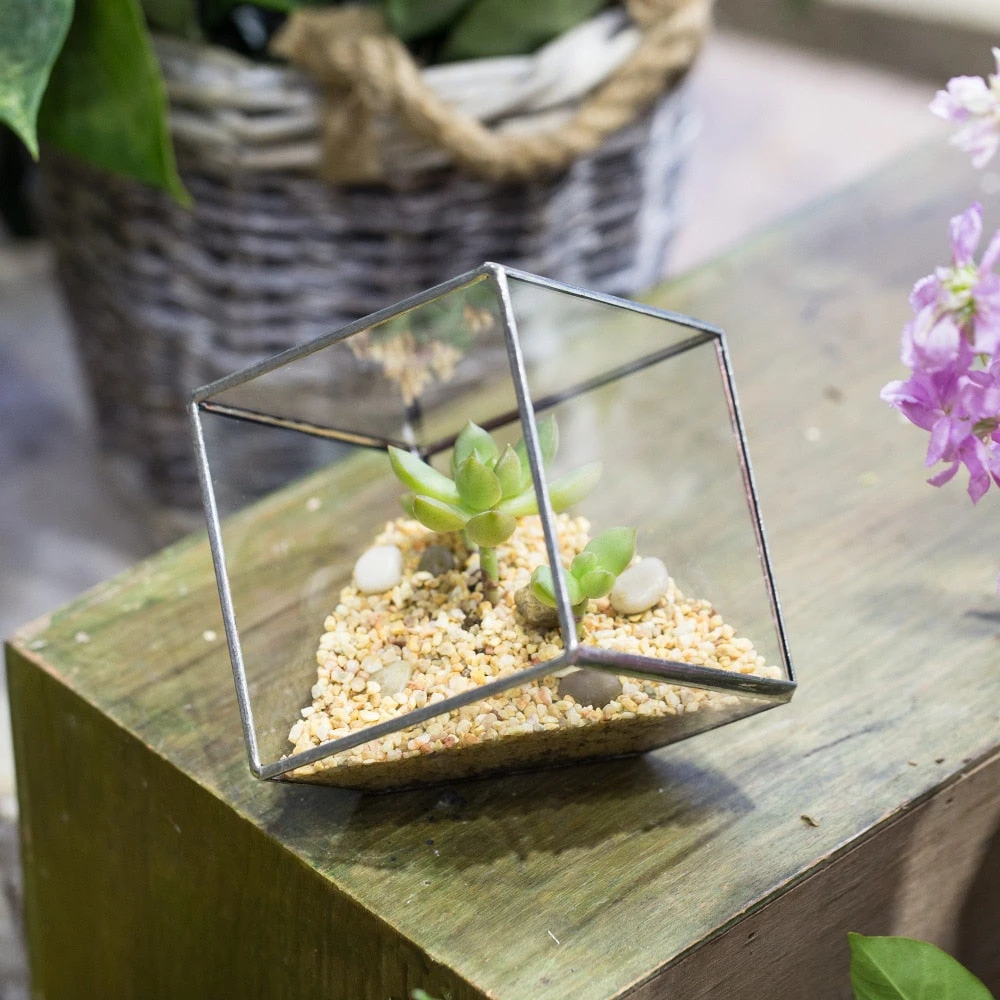 Handmade 3.93" / 10cm Silver Square Inclined Cube Glass Geometric Terrarium For Succulent Airplants 4 Handmade 3.93" / 10cm Silver Square Inclined Cube Glass Geometric Terrarium For Succulent Airplants - Image 4