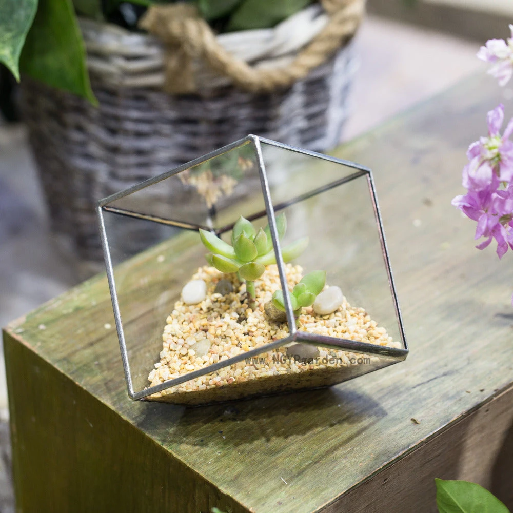 Handmade 3.93" / 10cm Silver Square Inclined Cube Glass Geometric Terrarium For Succulent Airplants 6 Handmade 3.93" / 10cm Silver Square Inclined Cube Glass Geometric Terrarium For Succulent Airplants - Image 6