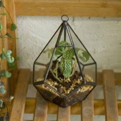 Handmade Artistic Hanging Glass Teardrop Diamond Geometric Terrarium With Loop For Succulent Moss 15 Handmade Artistic Hanging Glass Teardrop Diamond Geometric Terrarium With Loop For Succulent Moss -Glass Plant Store product image 729040724