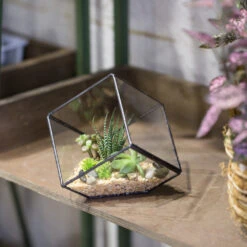 Handmade 10cm Inclined Cube Vase Glass Geometric Terrarium Tabletop Flowerpot For Garden Succulents 15 Handmade 10cm Inclined Cube Vase Glass Geometric Terrarium Tabletop Flowerpot For Garden Succulents -Glass Plant Store product image 739086378