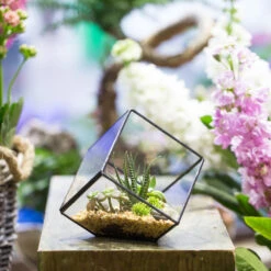 Handmade 10cm Inclined Cube Vase Glass Geometric Terrarium Tabletop Flowerpot For Garden Succulents 13 Handmade 10cm Inclined Cube Vase Glass Geometric Terrarium Tabletop Flowerpot For Garden Succulents -Glass Plant Store product image 739086380