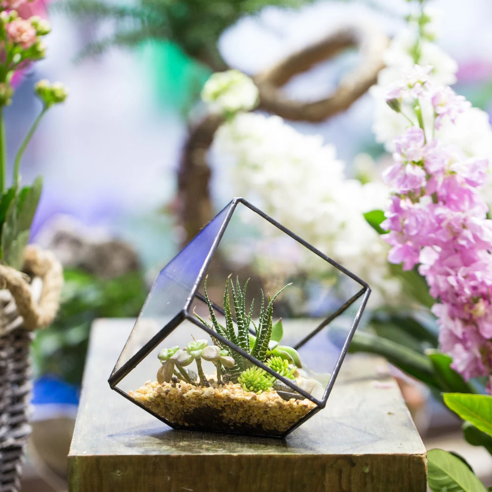 Handmade 10cm Inclined Cube Vase Glass Geometric Terrarium Tabletop Flowerpot For Garden Succulents 3 Handmade 10cm Inclined Cube Vase Glass Geometric Terrarium Tabletop Flowerpot For Garden Succulents - Image 3