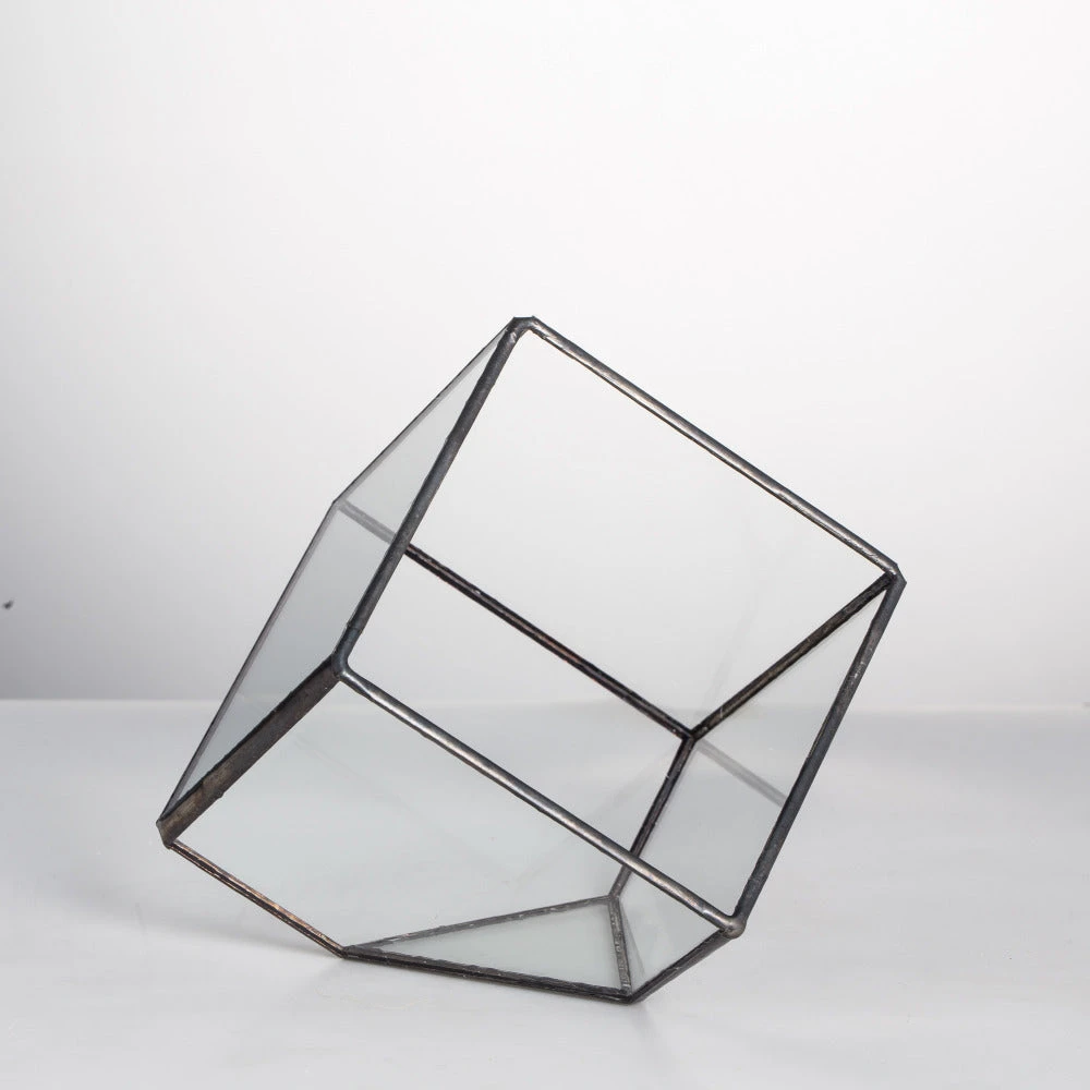 Handmade 10cm Inclined Cube Vase Glass Geometric Terrarium Tabletop Flowerpot For Garden Succulents 1 Handmade 10cm Inclined Cube Vase Glass Geometric Terrarium Tabletop Flowerpot For Garden Succulents