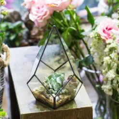 Handmade Black Artistic Four-surfaces Glass Geometric Terrarium For Succulents Airplants Moss 15 Handmade Black Artistic Four-surfaces Glass Geometric Terrarium For Succulents Airplants Moss -Glass Plant Store product image 822271928