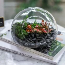 Hand Blown Glass Bubble Shape Globe Terrarium For Miniature Micro Landscape Airplants Moss