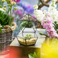 Handmade Tabletop Artistic Glass Jewelry Box Geometric Terrarium For Weddiing Home Office Decor -Glass Plant Store product image 826680350