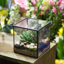 Handmade Square Glass Geometric Terrarium Box With Lid For Succulents Fern Moss 17 Handmade Square Glass Geometric Terrarium Box With Lid For Succulents Fern Moss -Glass Plant Store product image 840581445