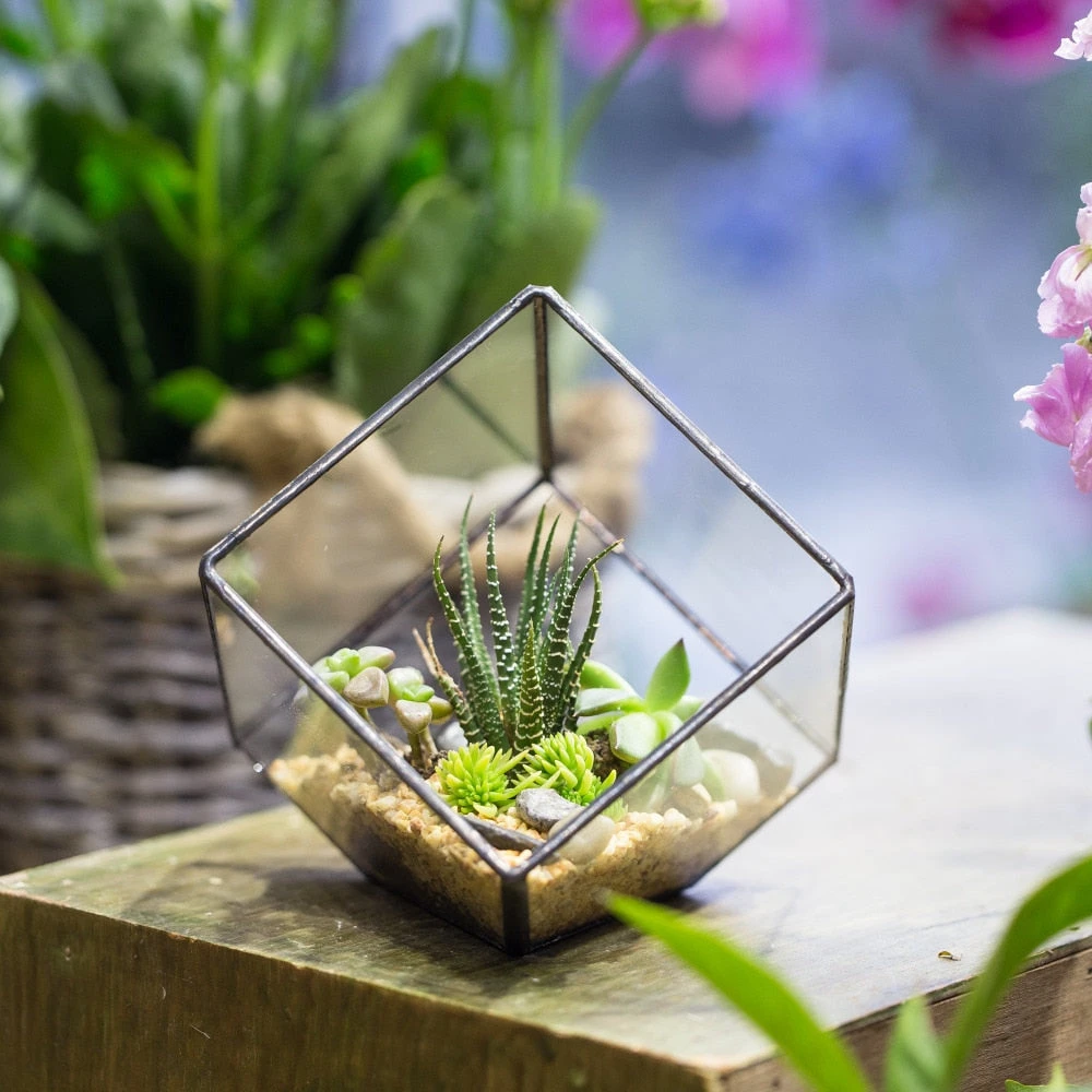 Handmade 10cm Inclined Cube Vase Glass Geometric Terrarium Tabletop Flowerpot For Garden Succulents 7 Handmade 10cm Inclined Cube Vase Glass Geometric Terrarium Tabletop Flowerpot For Garden Succulents - Image 7