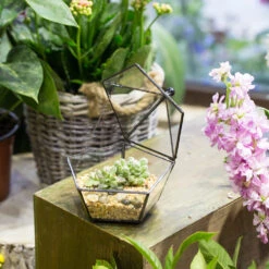 Handmade Tabletop Artistic Glass Jewelry Box Geometric Terrarium For Weddiing Home Office Decor -Glass Plant Store product image 988998658