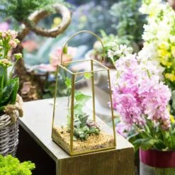 Handmade Copper Gold Echelon Geometric Glass Terrarium Hanging Wall Holder Lantern With Handle -Glass Plant Store product image 991625902