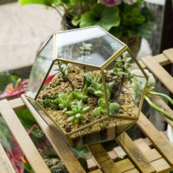 Handmade Tabletop Polyhedron Glass Geometric Terrarium For Succulent Fern Moss Air Plant -Glass Plant Store product image 993337427