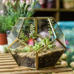 Handmade Tabletop Polyhedron Glass Geometric Terrarium For Succulent Fern Moss Air Plant -Glass Plant Store product image 993337428