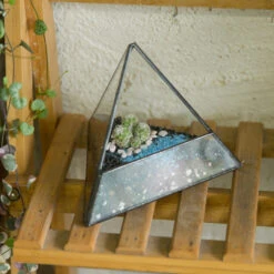 Handmade Small Pyramid Glass Geometric Terrarium For Ring Box Moss Cacti 17 Handmade Small Pyramid Glass Geometric Terrarium For Ring Box Moss Cacti -Glass Plant Store product image 997415092