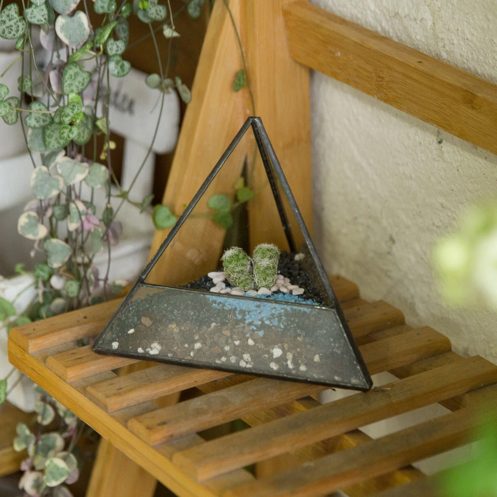 Handmade Small Pyramid Glass Geometric Terrarium For Ring Box Moss Cacti 12 Handmade Small Pyramid Glass Geometric Terrarium For Ring Box Moss Cacti - Image 12