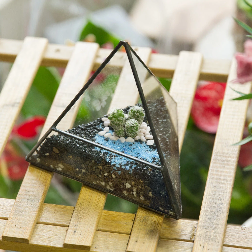 Handmade Small Pyramid Glass Geometric Terrarium For Ring Box Moss Cacti 3 Handmade Small Pyramid Glass Geometric Terrarium For Ring Box Moss Cacti - Image 3