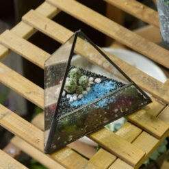 Handmade Small Pyramid Glass Geometric Terrarium For Ring Box Moss Cacti 25 Handmade Small Pyramid Glass Geometric Terrarium For Ring Box Moss Cacti -Glass Plant Store product image 997415096