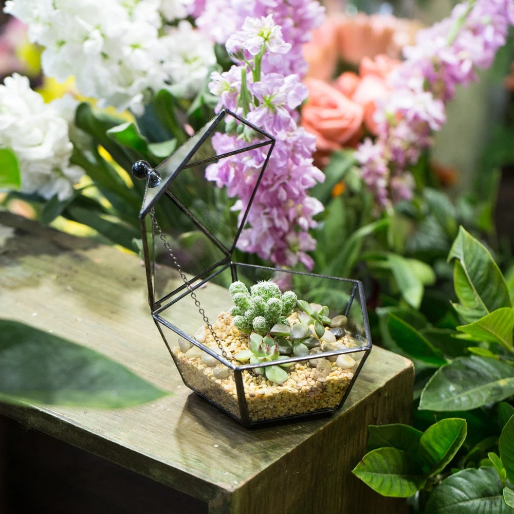 Handmade Small Modern Clear Jewelry BoxGlass Geometric Terrarium For Wedding Planters Succulents 16 Handmade Small Modern Clear Jewelry BoxGlass Geometric Terrarium For Wedding Planters Succulents - Image 16
